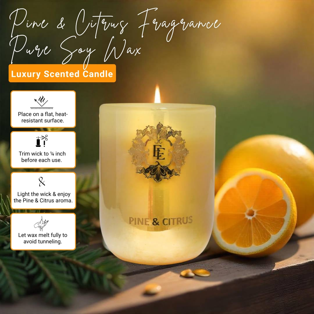 PINE & CITRUS Fragrance Pure Soy Wax Luxury Scented Candle | 100% Natural Wax & Lead Free Cotton Wick | Smokeless & Non-Toxic Candles | 250gm