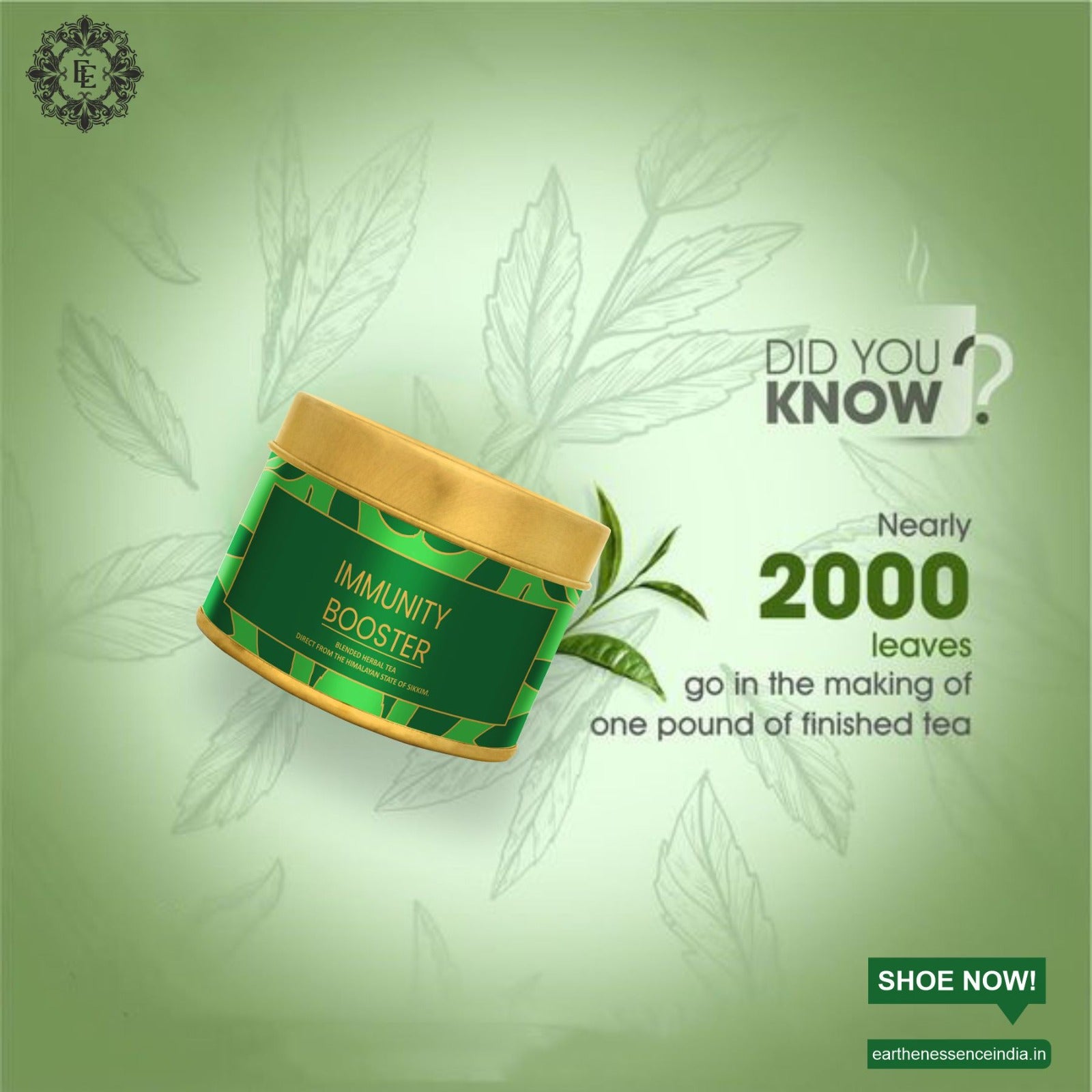 Immunity Booster - Blended Herbal Tea