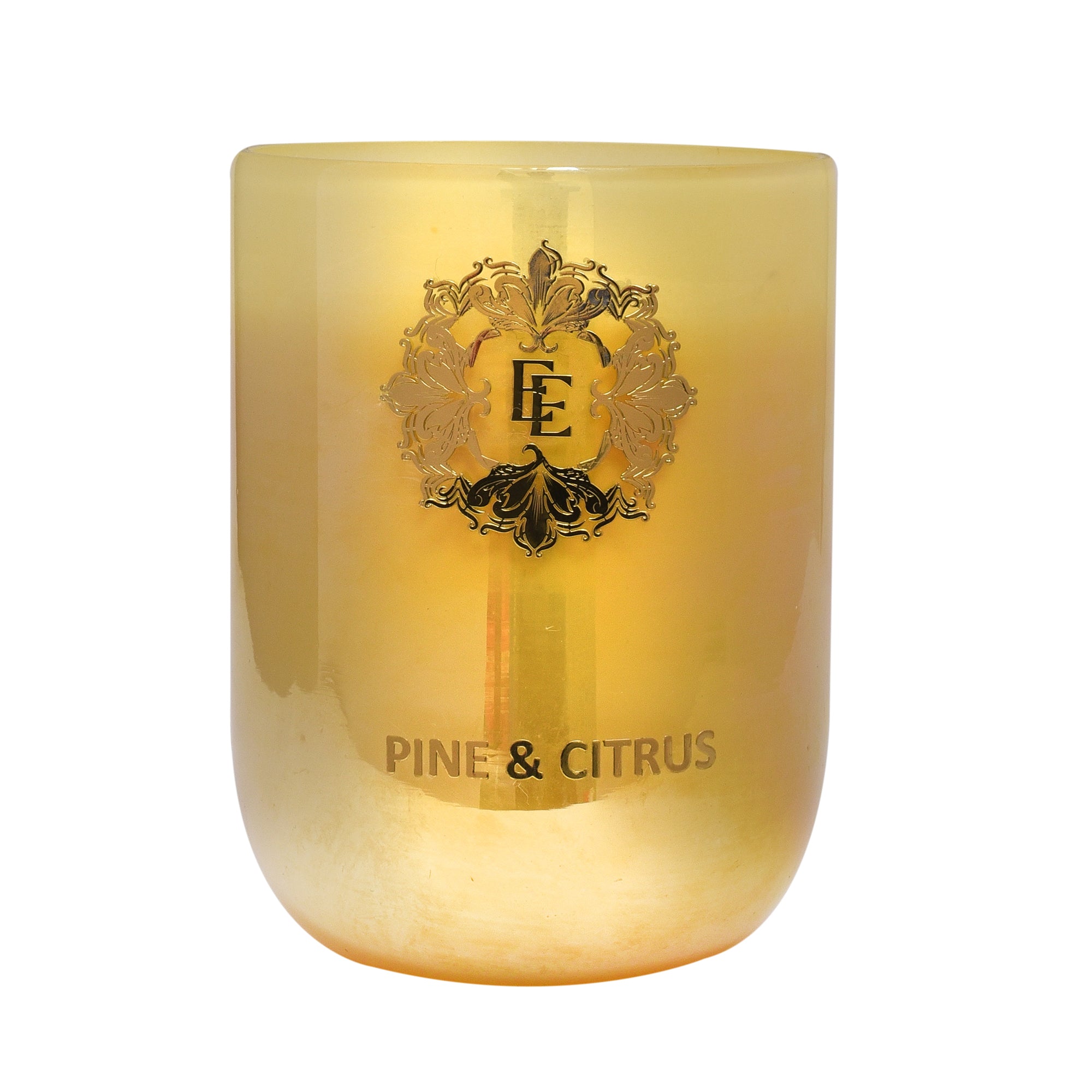 PINE & CITRUS Fragrance Pure Soy Wax Luxury Scented Candle | 100% Natural Wax & Lead Free Cotton Wick | Smokeless & Non-Toxic Candles | 250gm